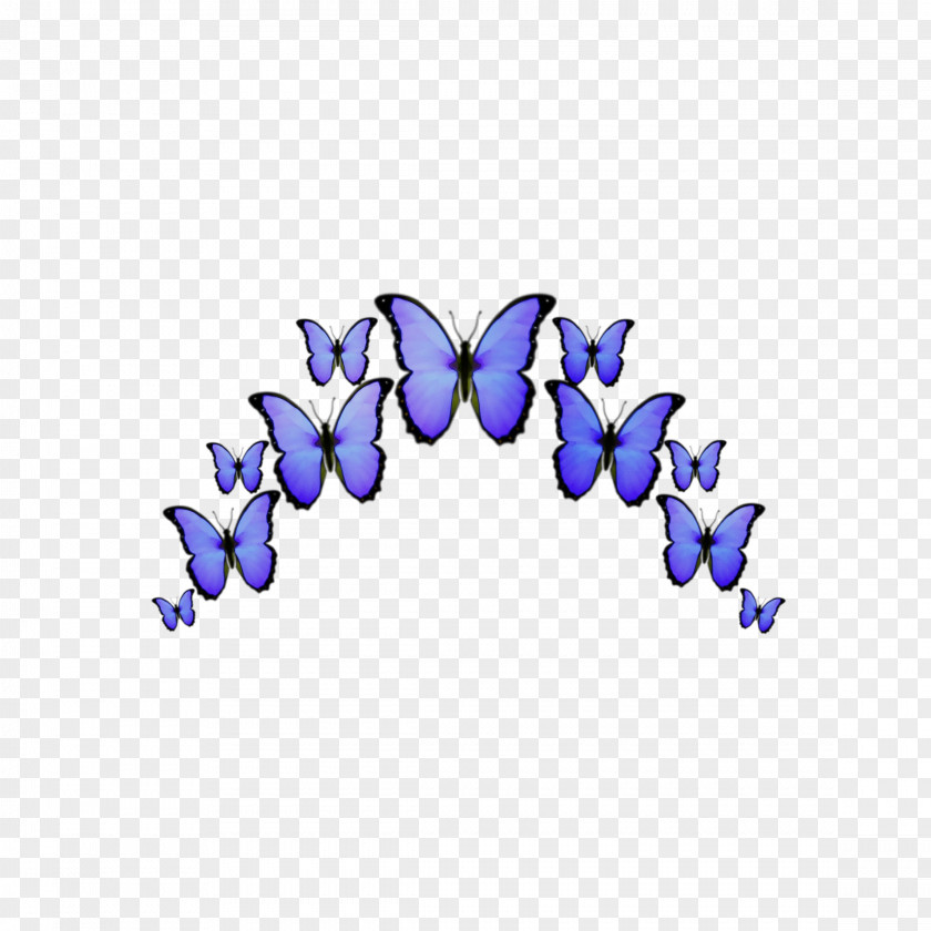 Emoji Butterflies Insects Blue PNG