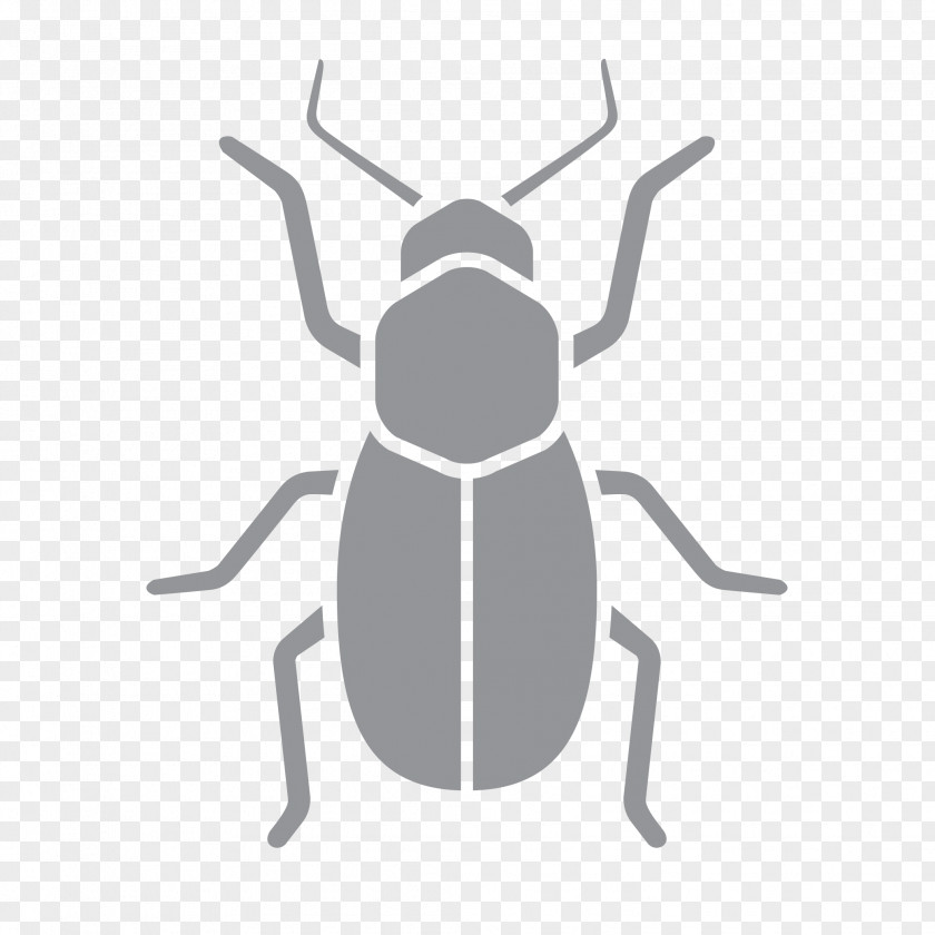 Insect Pest Control Wasp Exterminator PNG