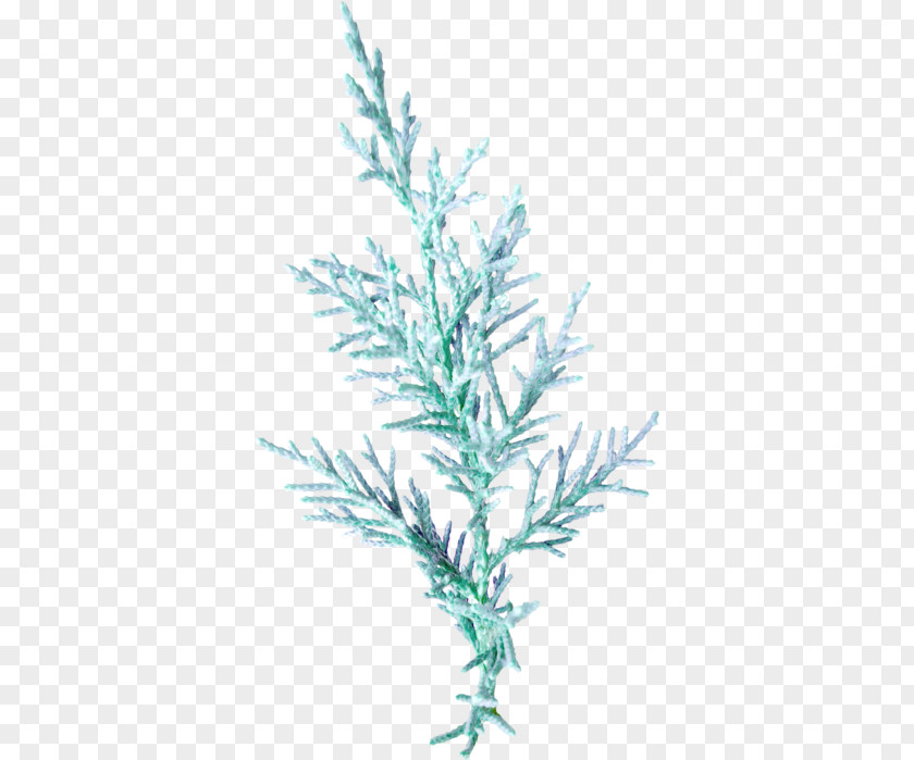 Leaf Twig Plant Stem Blue PNG