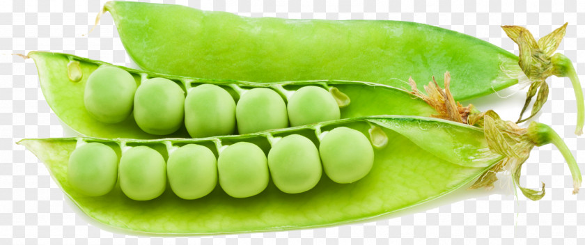 Pea Snap Superfood Commodity PNG