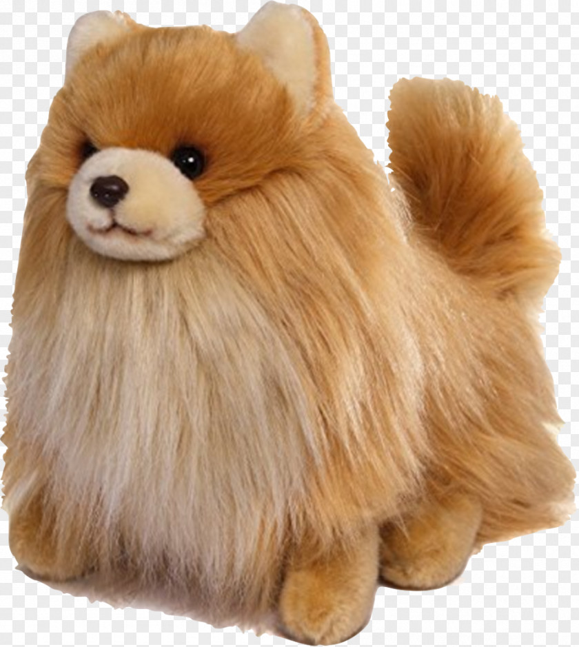 Puppy Pomeranian Boo: The Life Of World's Cutest Dog Gund PNG