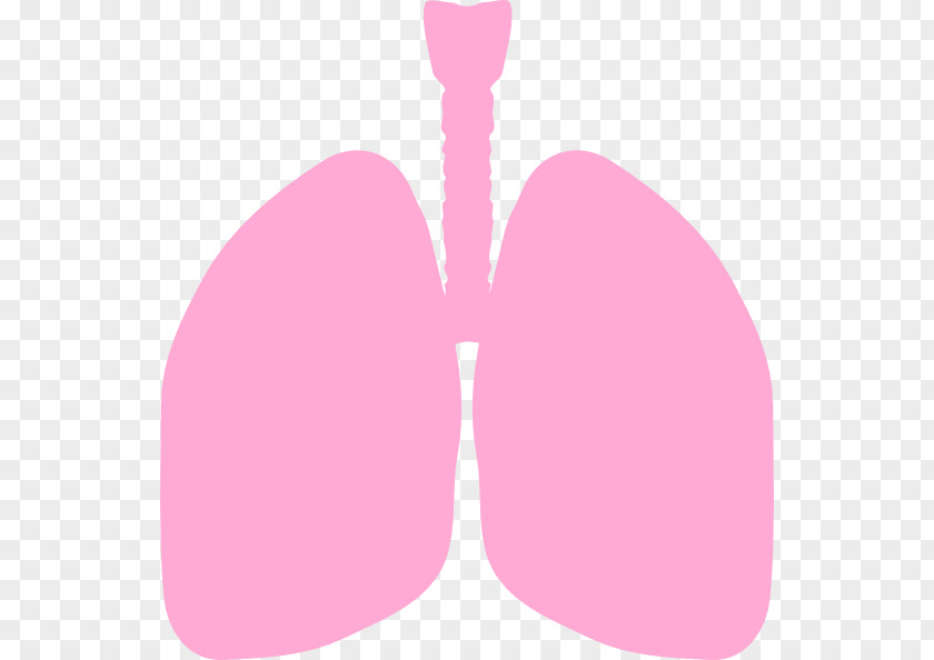 Small Lungs Cliparts Love Pattern PNG
