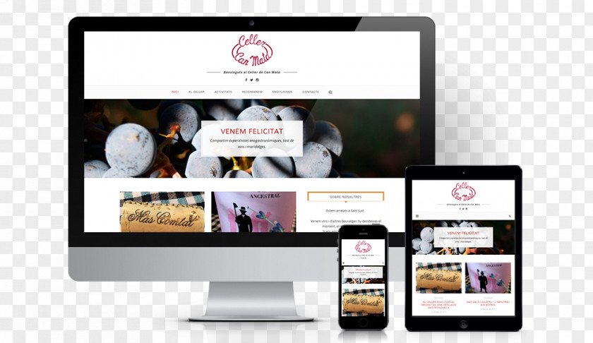 Web Design Responsive Page PNG