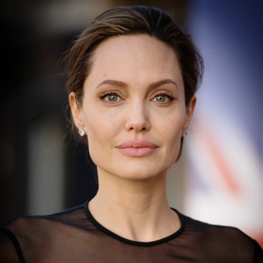 Angelina Jolie Hollywood Wanted Actor Divorce PNG