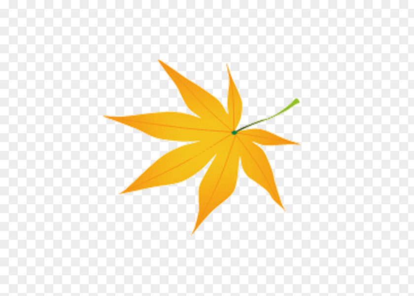 Best Community Maple Leaf Drawing Image Yellow Graphics PNG