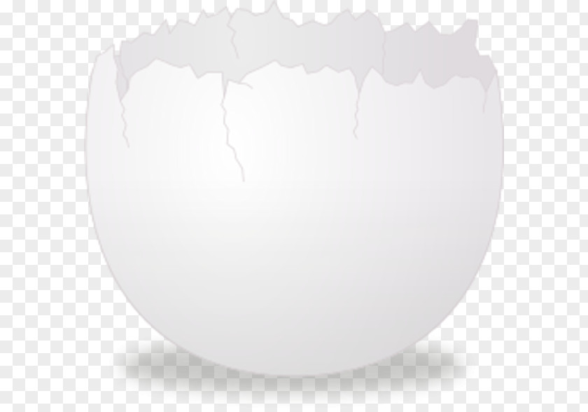 Egg Shell Fried Eggshell Clip Art PNG