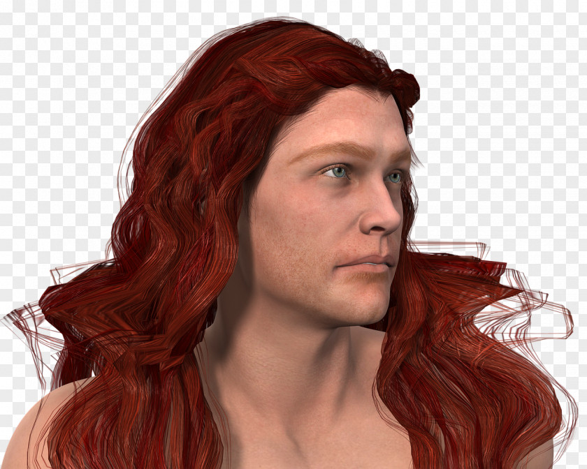 Hair Red Coloring Capelli PNG