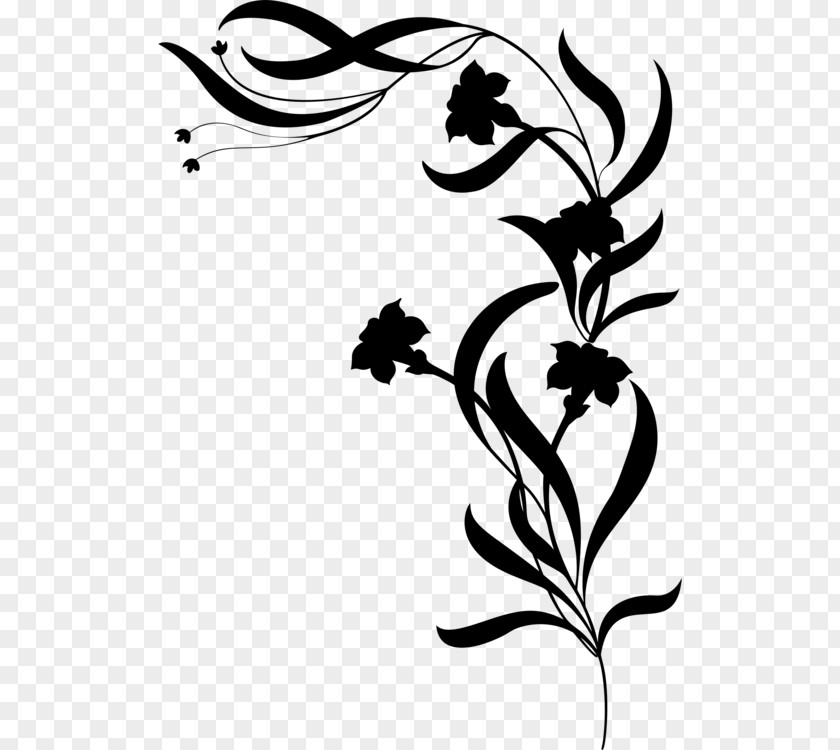 How To Draw A Flower Silhouette Clip Art Decorative Borders Floral Design PNG