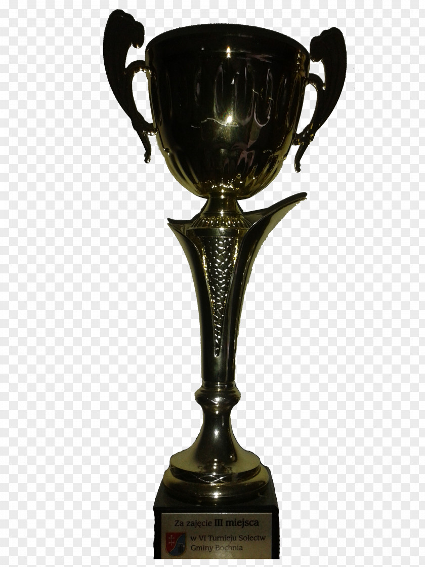 Trophy KS Błyskawica Proszówki 01504 PNG