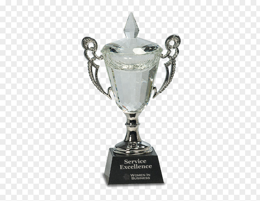 Trophy Medal Award Cup Commemorative Plaque PNG