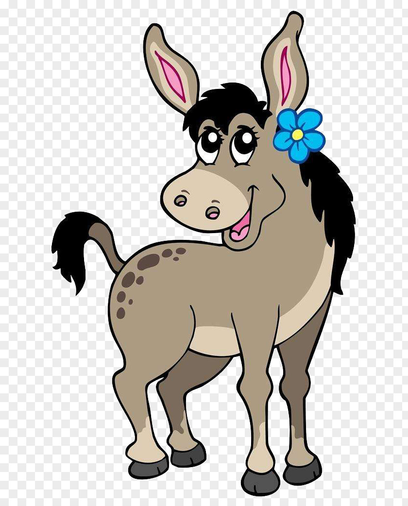 Beautiful Little Donkey Mule Cartoon Clip Art PNG