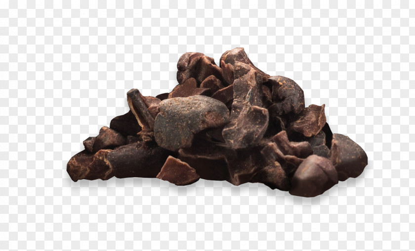 Cacao Bean Dog Chocolate Canidae Mammal Bar PNG
