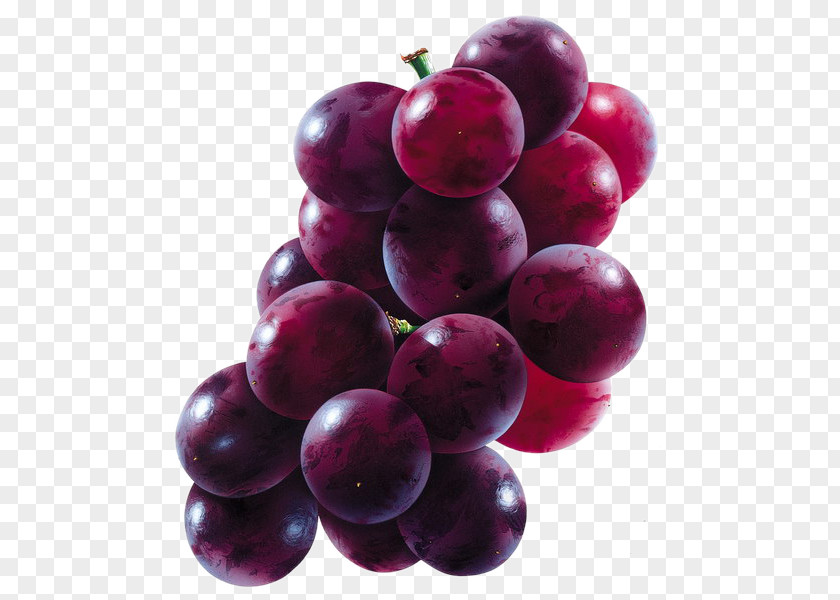 Grape Fruit Clip Art PNG