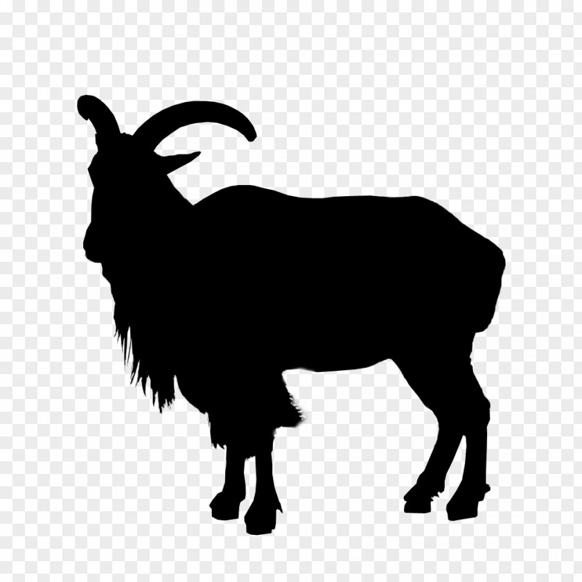 Sheep Goat Cattle Clip Art Fauna PNG