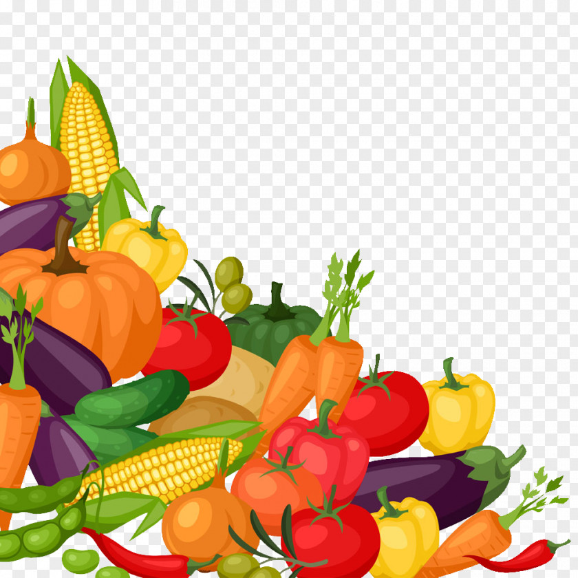 Cartoon Variety Of Delicious Vegetables Organic Food Vegetable Tomato Illustration PNG