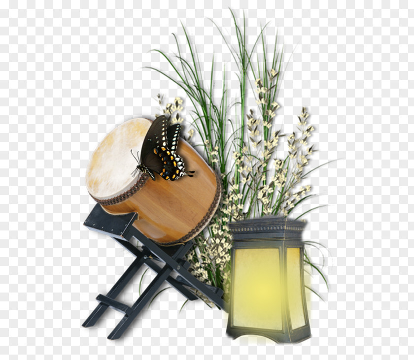 Decor Pack Percussion Plant PNG