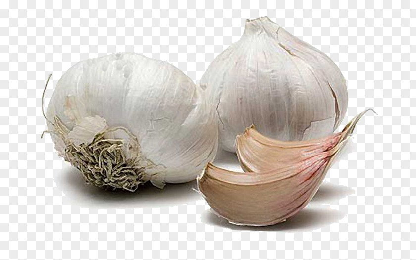 Garlic Powder Leaf Vegetable Spice PNG