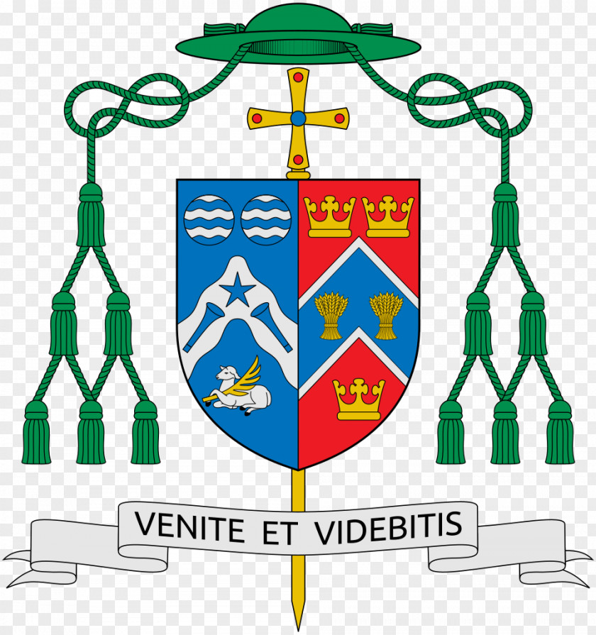 Matthew Diocese Of Rome Pontifical Lateran University Gregorian Auxiliary Bishop PNG