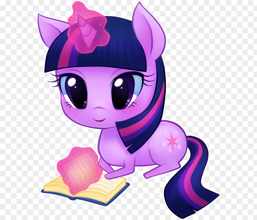 Miss U Pony Twilight Sparkle Rainbow Dash DeviantArt PNG