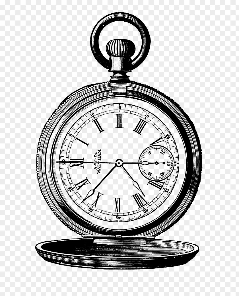 Pocket Watch Drawing Steampunk Clip Art PNG