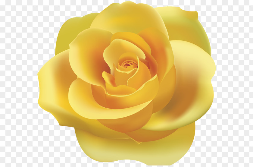 Yellow Rose Clip Art PNG
