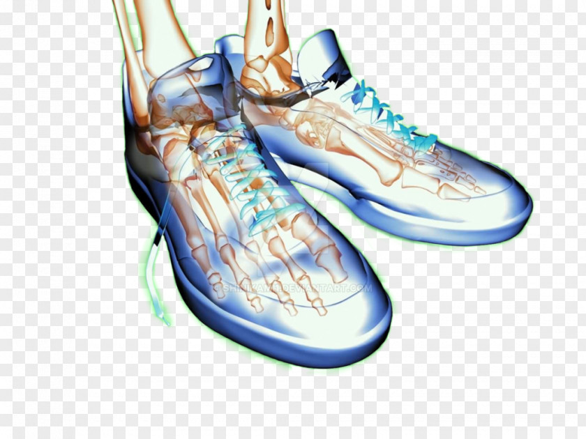 Design Sneakers Shoe Cross-training PNG