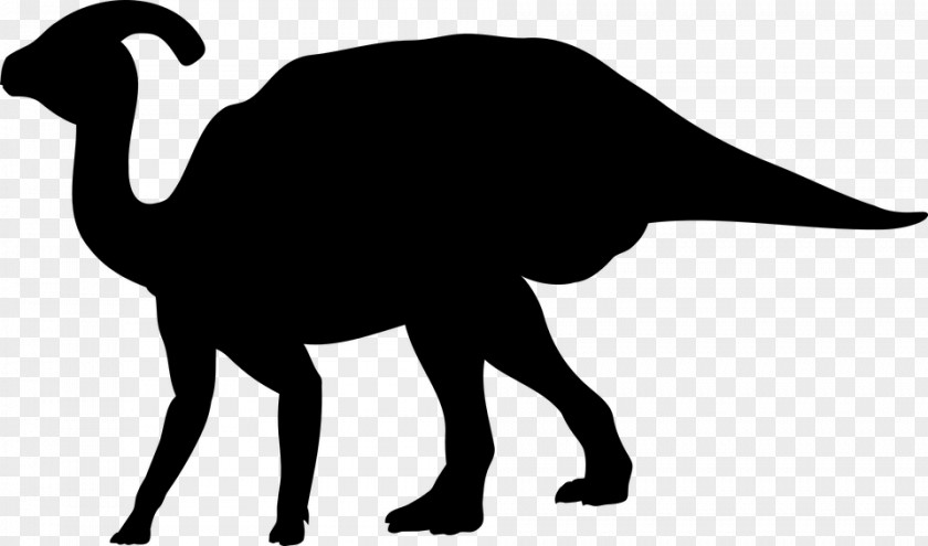 Dinosaur Tyrannosaurus Triceratops Alamosaurus Albertosaurus Clip Art PNG
