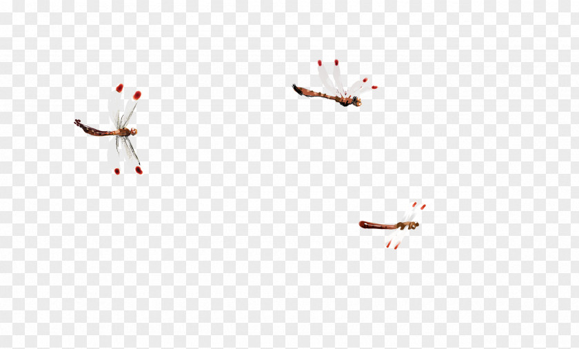 Dragonfly Petal Pattern PNG