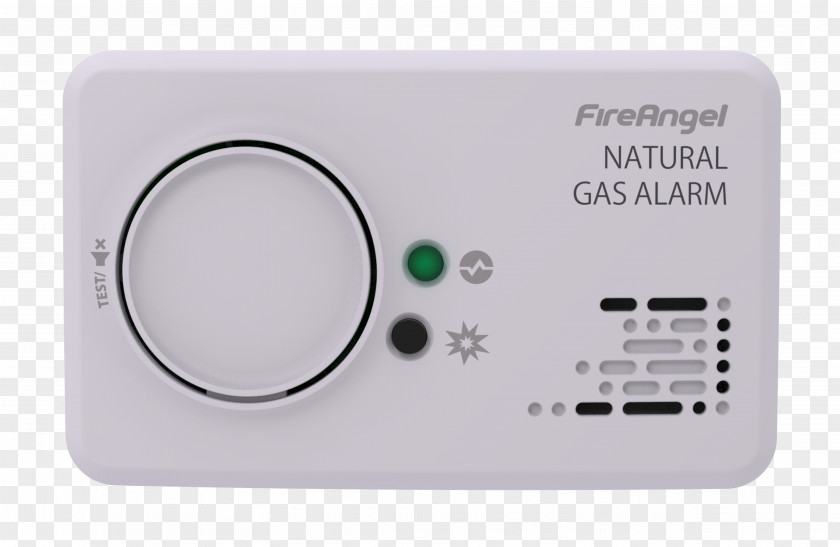 Natural Gas Alarm Device Liquefied Petroleum Coal PNG