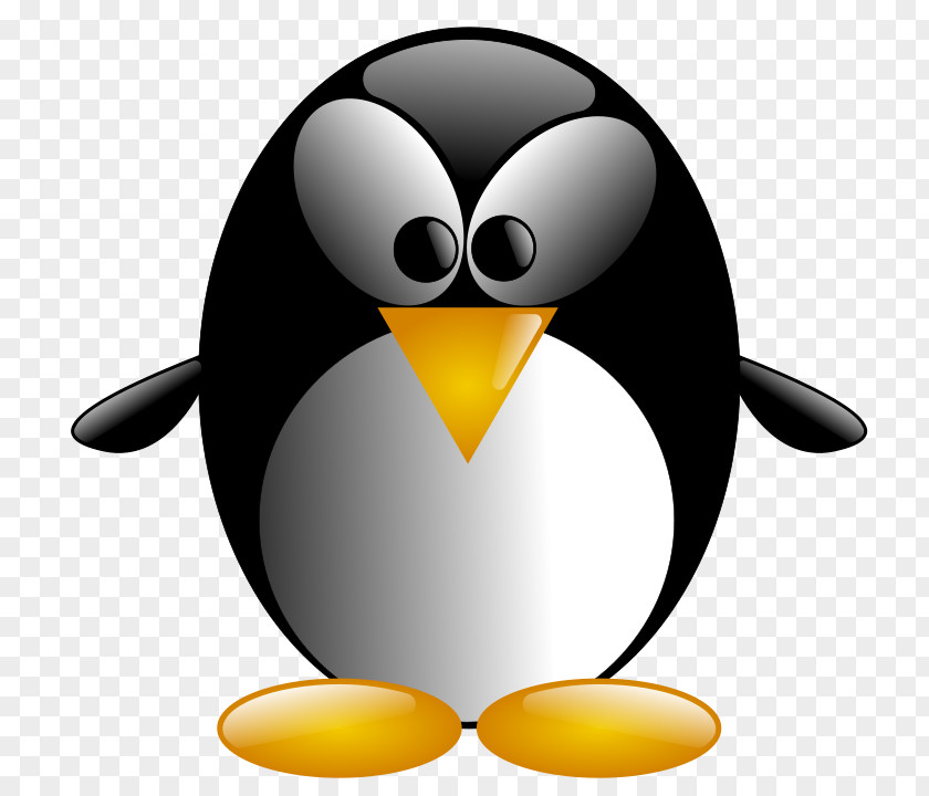 Penguin Vector Graphics Clip Art Image Bird PNG