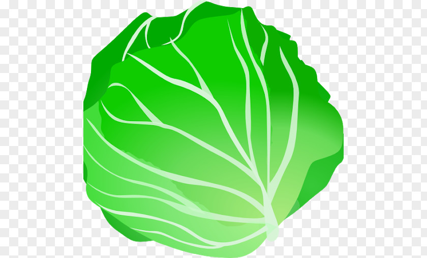 Vegetable Clip Art Leaf Cabbage Fruit PNG
