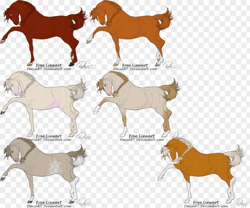 Chestnut Thoroughbred Mustang Foal Stallion Dog Cattle PNG