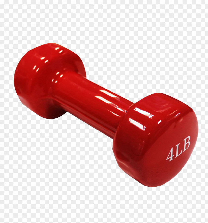 Flamingo Dumbbell Weight Training Exercise Equipment Barbell Physical Fitness PNG