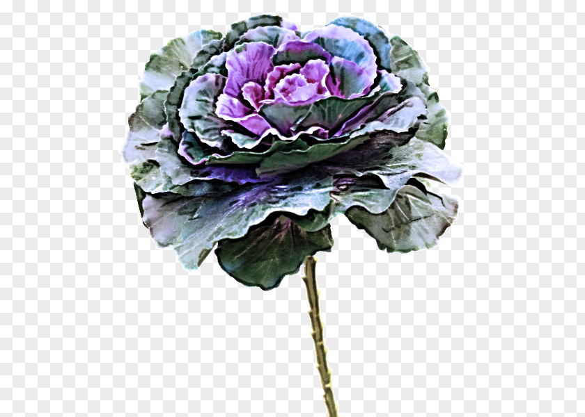 Flower Bouquet PNG