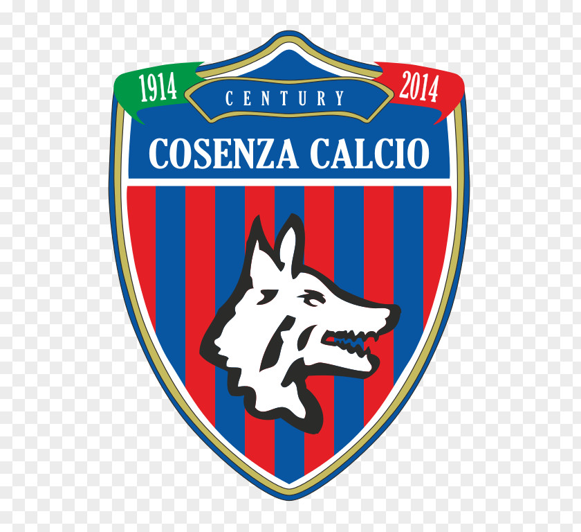 Football Cosenza Calcio Casertana F.C. U.S. Lecce PNG