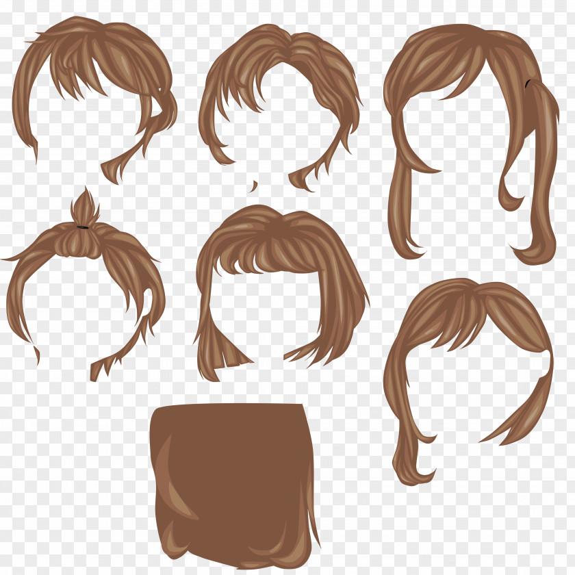 Hair Coloring Brown Wig Illustration PNG