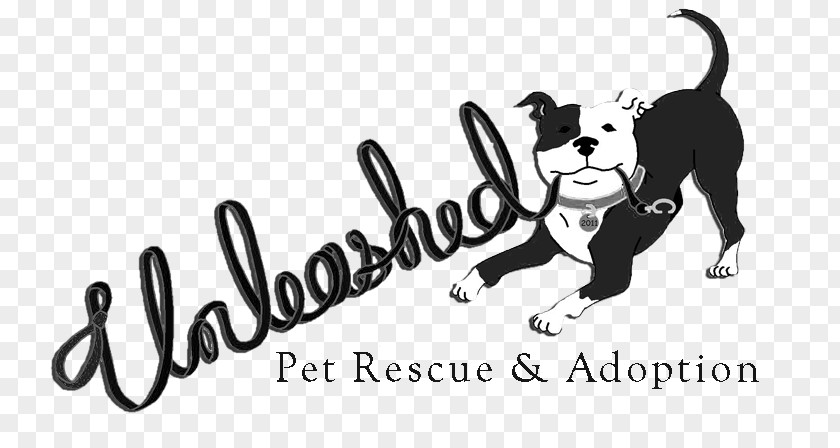 Rescue Dog Cat Wire Hair Fox Terrier Unleashed Pet Chihuahua Animal Group PNG