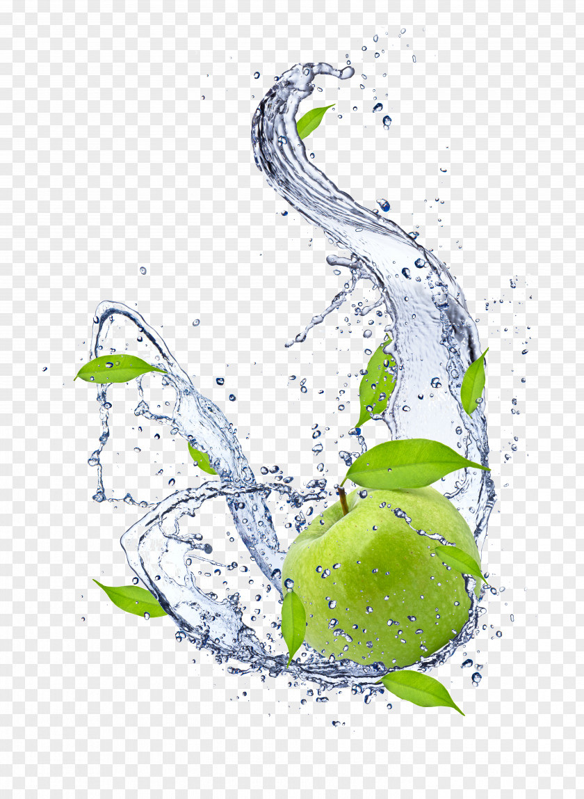 Water Plant Liquid PNG