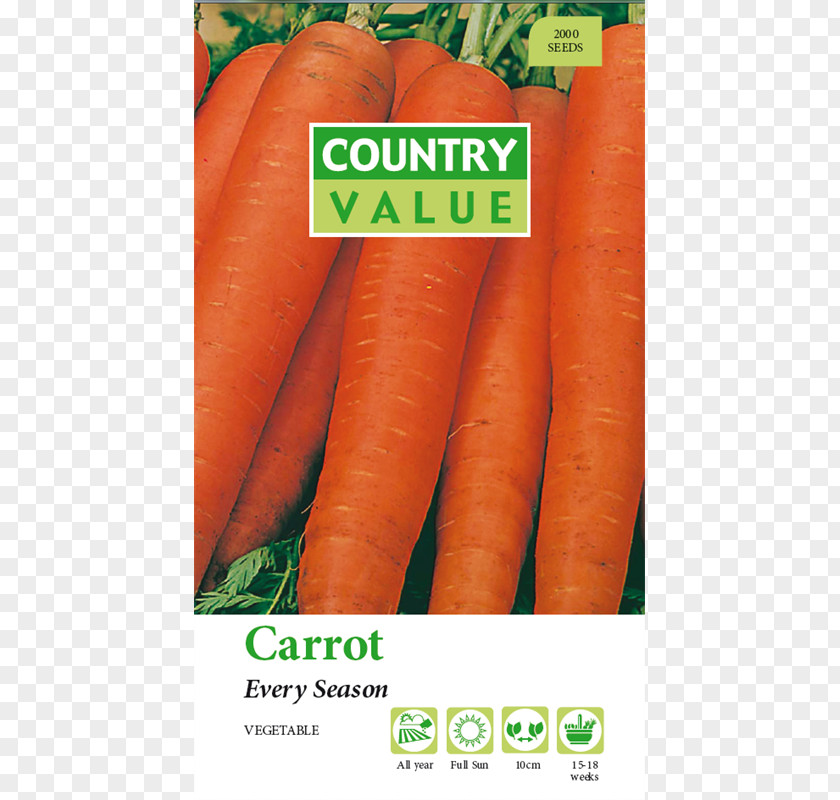 Carrot Character Baby Cosmos Daisy Family Plant Seed PNG