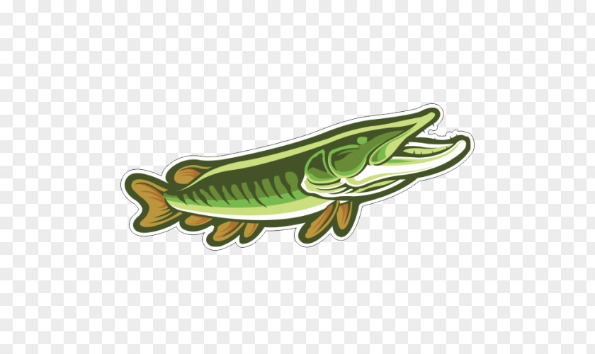 Drawing Muskellunge Clip Art PNG