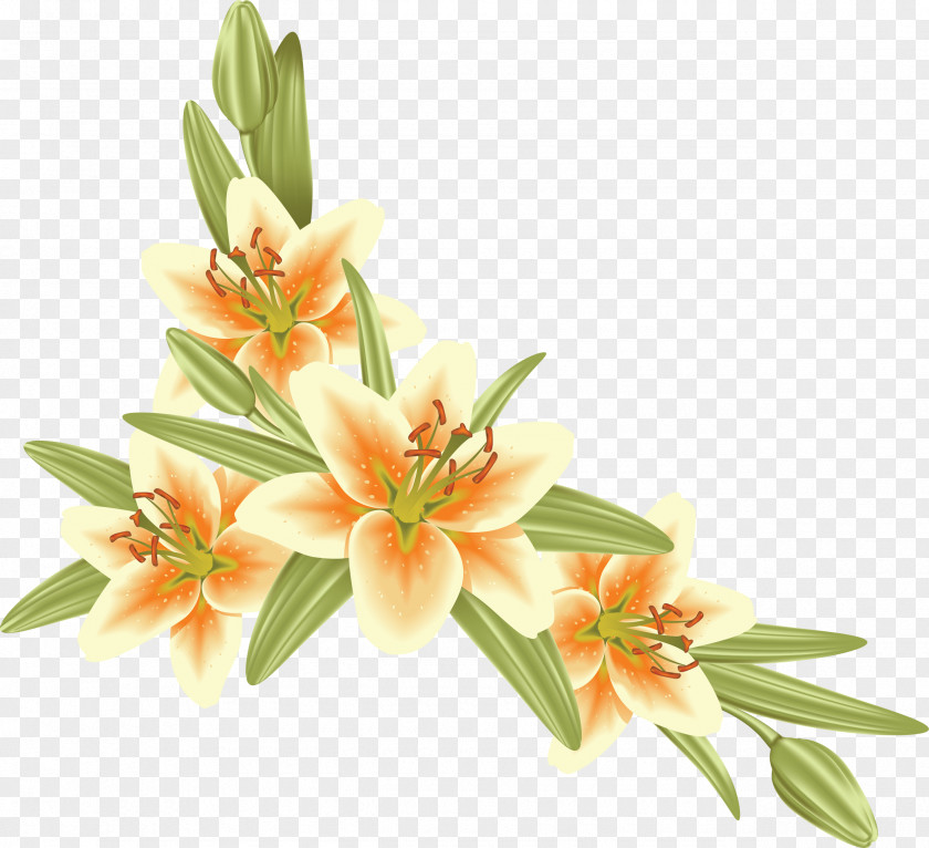 Flower Decoupage PNG