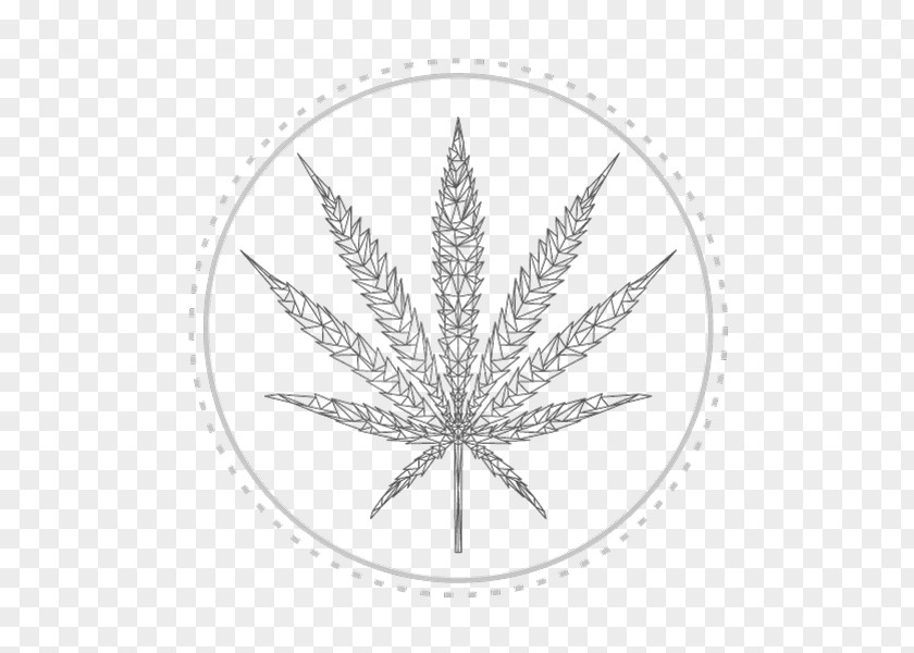 Leaf Cannabis Sativa Marijuana Culture PNG