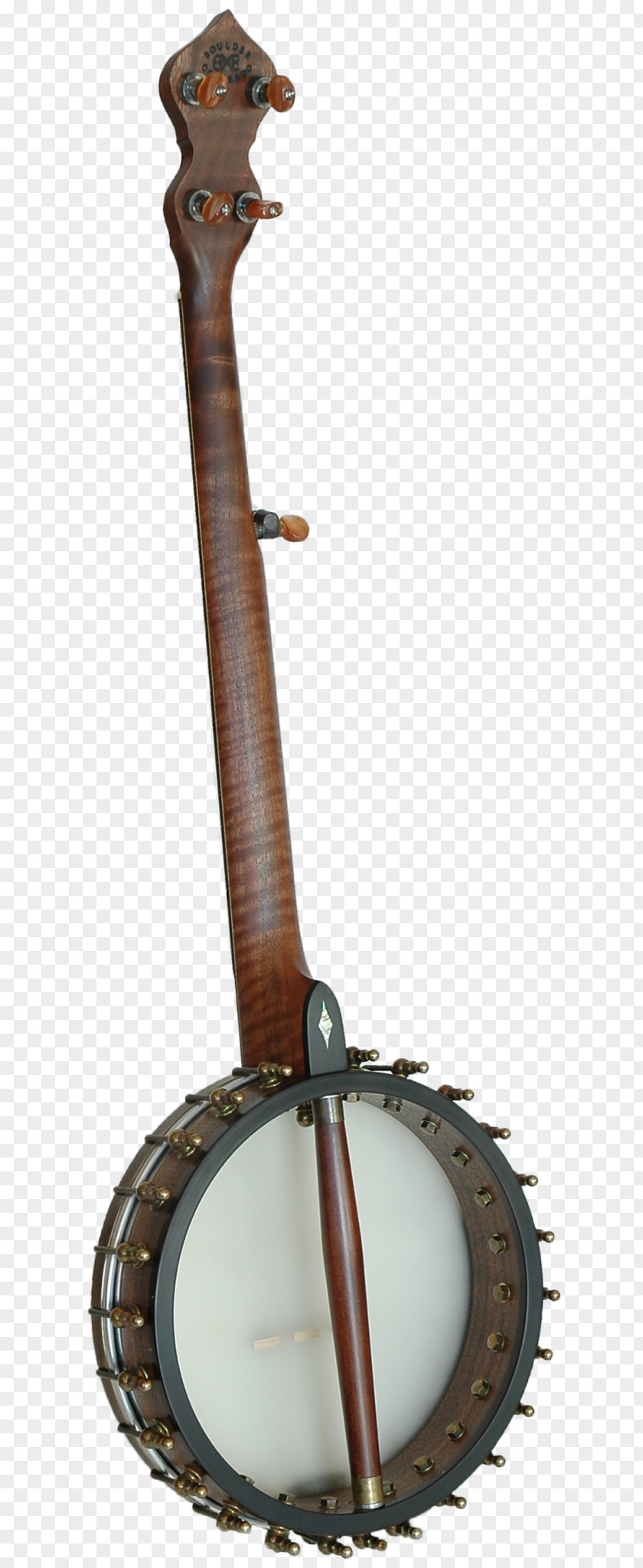 Musical Instruments Banjo Guitar Uke String PNG