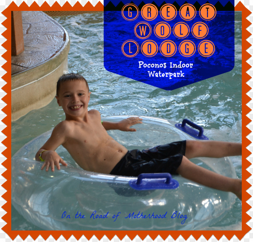 Swimming Pool Leisure Water Vacation PNG