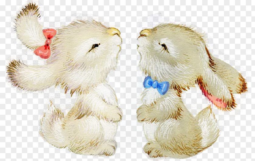 Two Rabbits European Rabbit Dog PNG