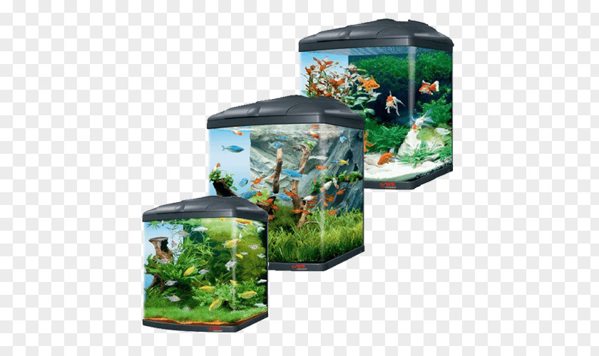Aquarium Biotope Fresh Water Fishkeeping Cube PNG