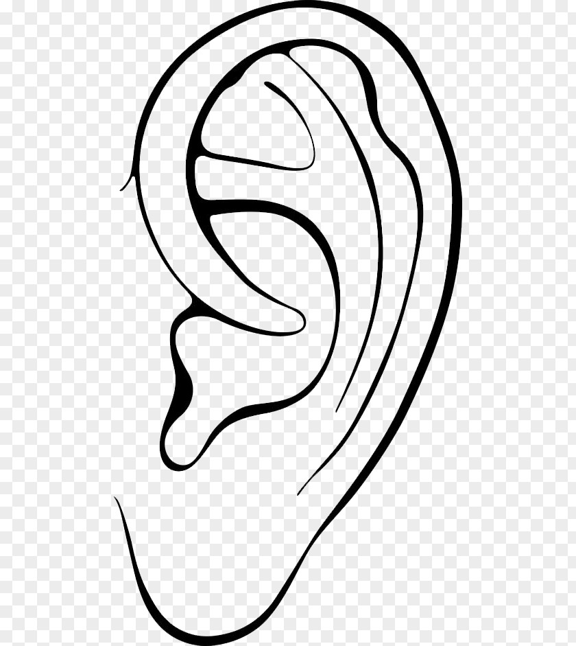 Ear Pointy Ears Clip Art PNG