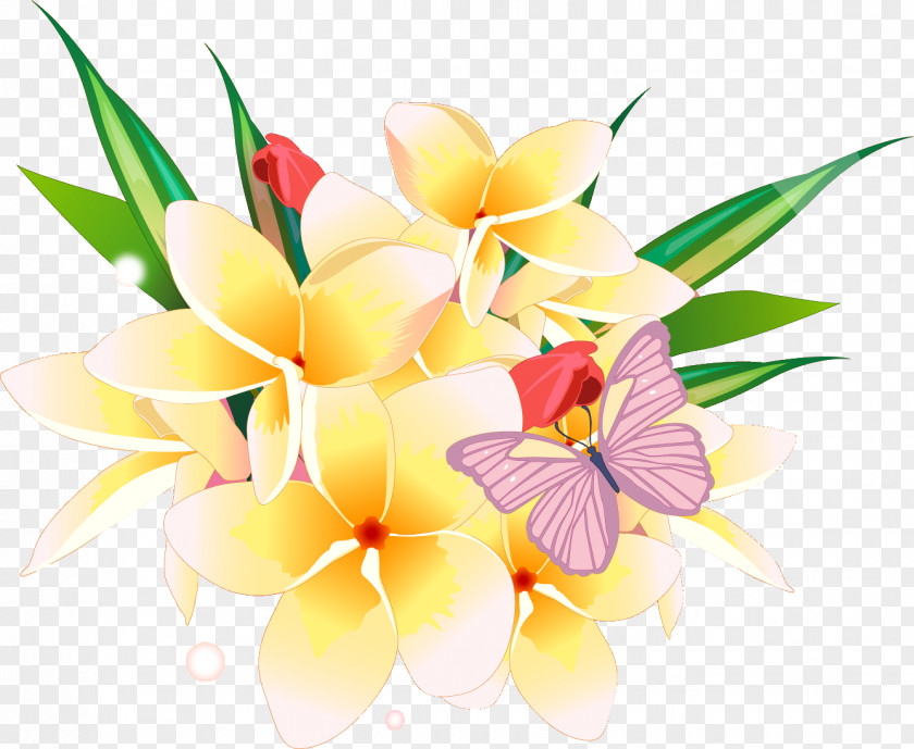 Frangipani Flower Desktop Wallpaper PNG