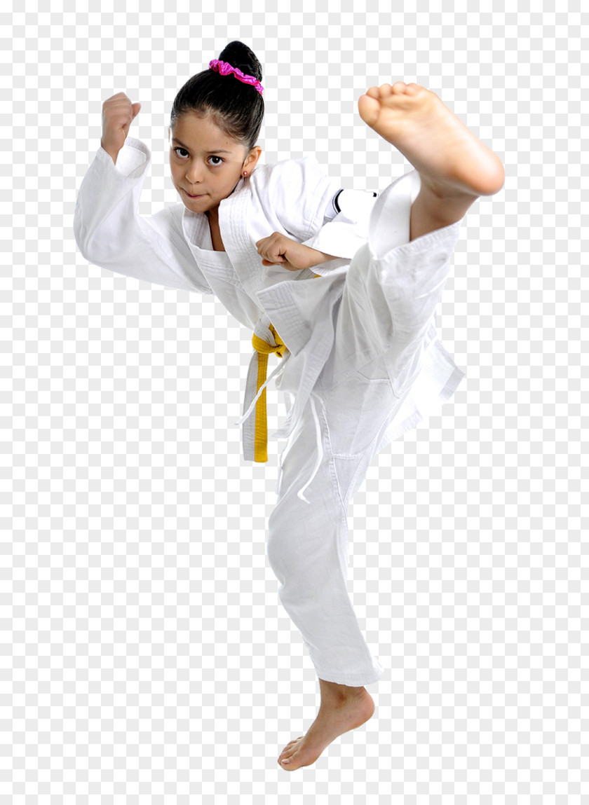 Karate Stock Photography Martial Arts Kick Taekwondo PNG
