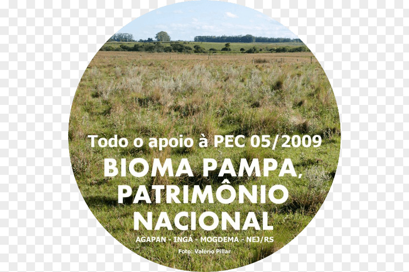 Pampa Crop Grassland PNG